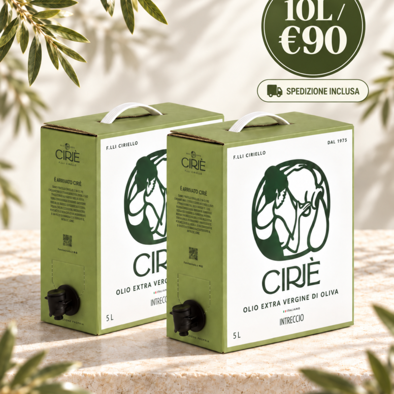 10L Olio EVO Intreccio — €90 Spedizione Inclusa